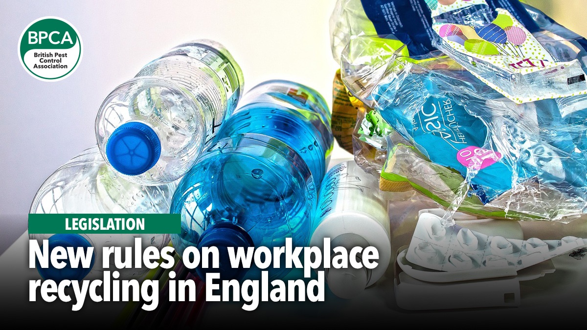 new-workplace-recycling-rules-in-england-icon new-workplace-recycling-rules-in-england-icon